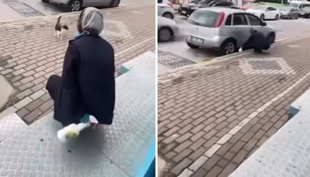 Kedinin yüzüne sprey sıkan market çalışanı gözaltına alındı