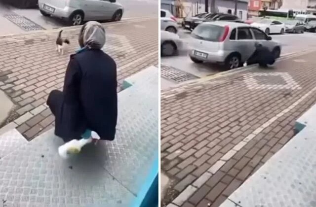 Kedinin yüzüne sprey sıkan market çalışanı gözaltına alındı