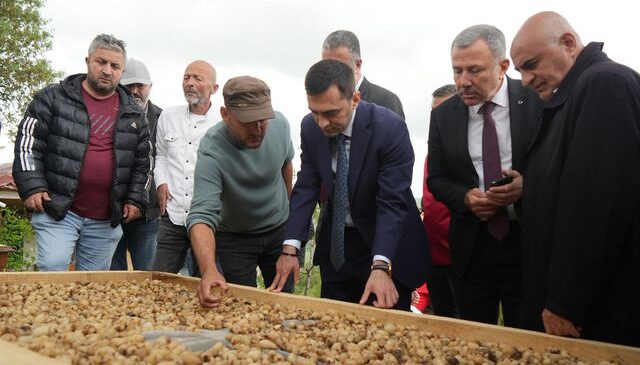 Kilosu 12 bin TL’den satılıyor! ‘Topraktaki altın’ın hasadı başladı