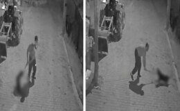 Köpeği demir sopayla öldürdü; o anlar kamerada