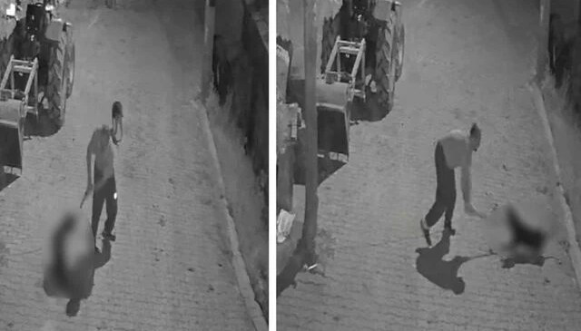 Köpeği demir sopayla öldürdü; o anlar kamerada