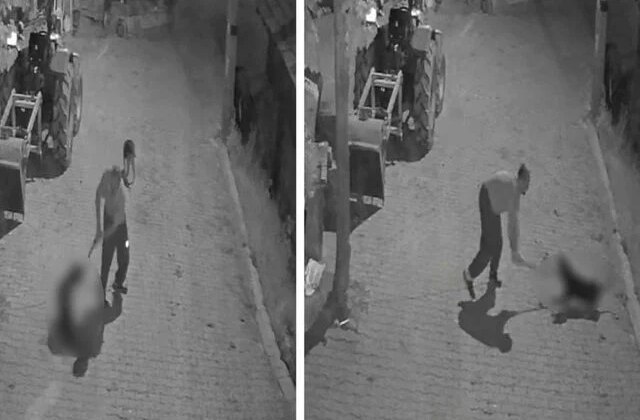 Köpeği demir sopayla öldürdü; o anlar kamerada