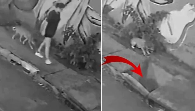 Köpeğiyle yürüyen genç kadın kapağın kırılmasıyla kanalizasyona düştü