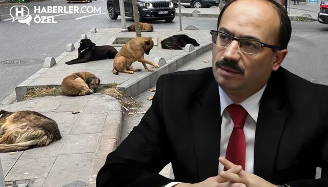 Köpeklerle ilgili sözleri gündem yaratan Osman Mesten’den ilk açıklama