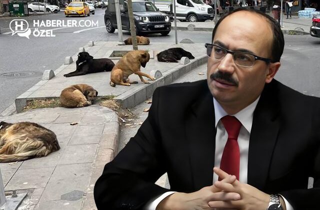Köpeklerle ilgili sözleri gündem yaratan Osman Mesten’den ilk açıklama