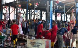 Kurban keserken bunları sakın yapmayın! 30 bin lira cezası var