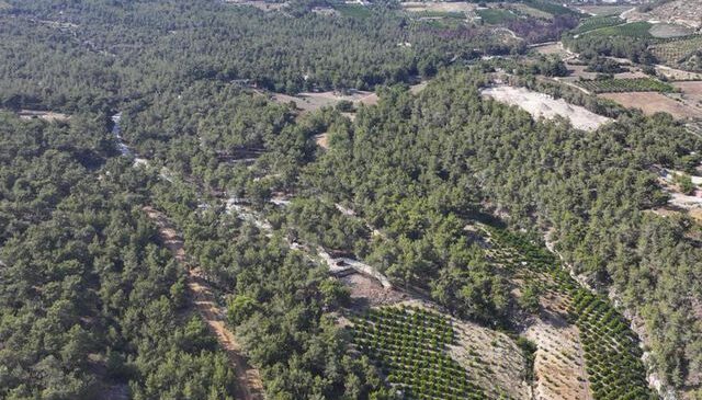 Mersin’de ormanlık alanlara giriş yasaklandı