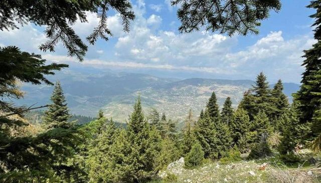 Mersin’de 30 Ekim’e kadar ormanlık alanlara girişler yasaklandı