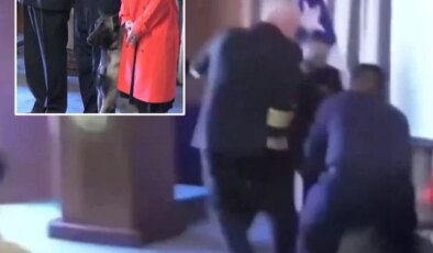 Narkotik köpeği mezuniyet töreninde tümamirale saldırdı, “Cebinde ne vardı” sorusu ülkeyi karıştırdı