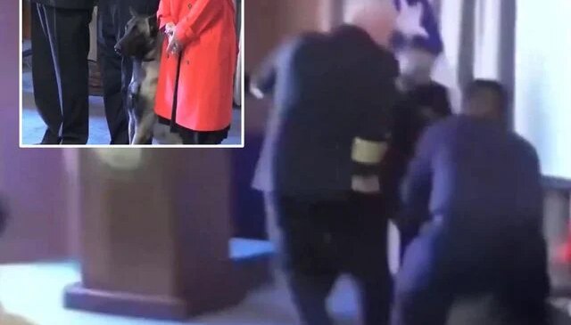 Narkotik köpeği mezuniyet töreninde tümamirale saldırdı, “Cebinde ne vardı” sorusu ülkeyi karıştırdı