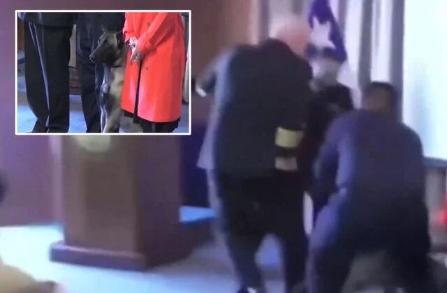 Narkotik köpeği mezuniyet töreninde tümamirale saldırdı, “Cebinde ne vardı” sorusu ülkeyi karıştırdı