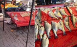 Pazarda kilosu 50 TL’ye satılıyor! Gıda mühendisi uyardı: Sakın almayın