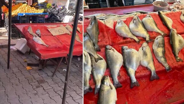 Pazarda kilosu 50 TL’ye satılıyor! Gıda mühendisi uyardı: Sakın almayın