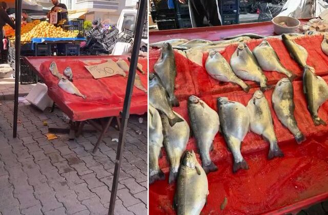 Pazarda kilosu 50 TL’ye satılıyor! Gıda mühendisi uyardı: Sakın almayın