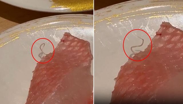 Restoranda şoke eden görüntü! Tabakta hareket eden canlı parazit buldu