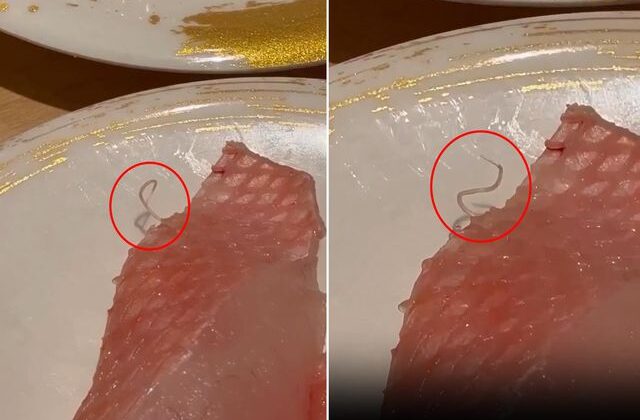 Restoranda şoke eden görüntü! Tabakta hareket eden canlı parazit buldu