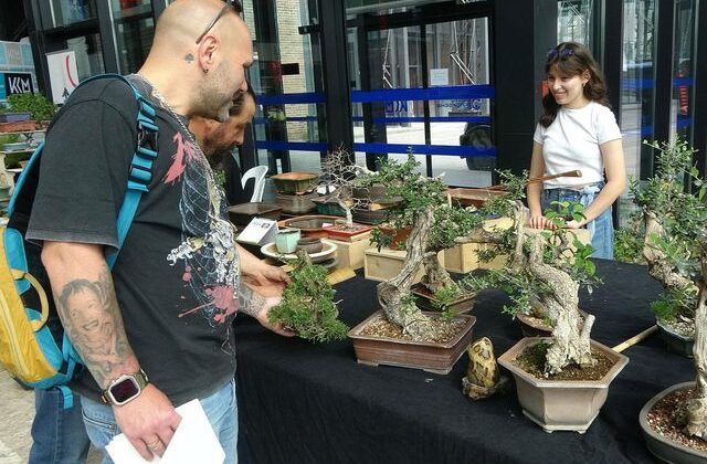 Şekil alması yıllar sürüyor, değeri 1 milyon TL’ye kadar ulaşıyor