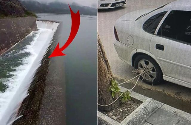 Tokat sele hazırlanıyor! 15 bin kişi tahliye edildi, vatandaşlar arabalarını ağaca bağladı