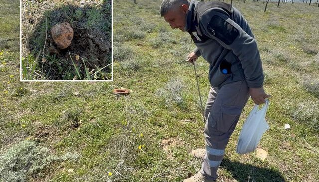Topraktan gözünü ayırmadan ‘dolaman’ avı: “Altın bulsam bu kadar sevinmem”