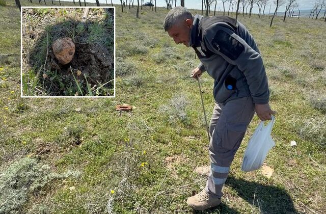 Topraktan gözünü ayırmadan ‘dolaman’ avı: “Altın bulsam bu kadar sevinmem”