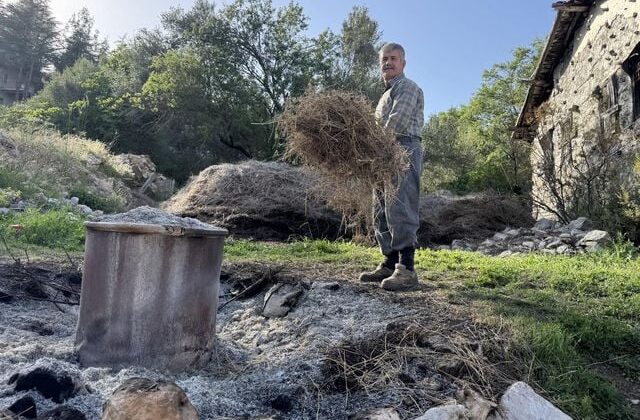Toroslar’dan topluyor, Avrupa’dan bile sipariş yağıyor! Gramı 18 TL’ye kadar çıkıyor