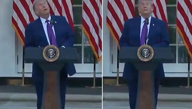 Trump’ın korku dolu anları! Kuşu dron sanınca büyük panik yaşadı