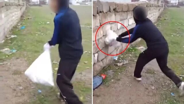 Van’da bir grup çocuk kediye böyle eziyet etti! Çuvala koyup duvara vurdular