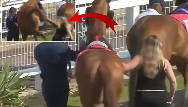 Yarış atı yanına yaklaşan seyise çifte attı! Genç kadın metrelerce savruldu