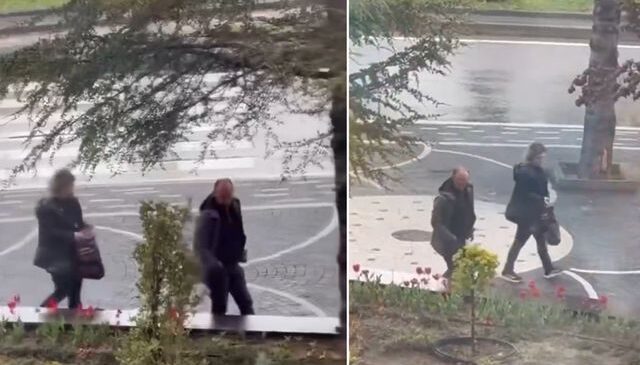 Yer: Kayseri! Belediyenin diktiği laleleri böyle söktüler