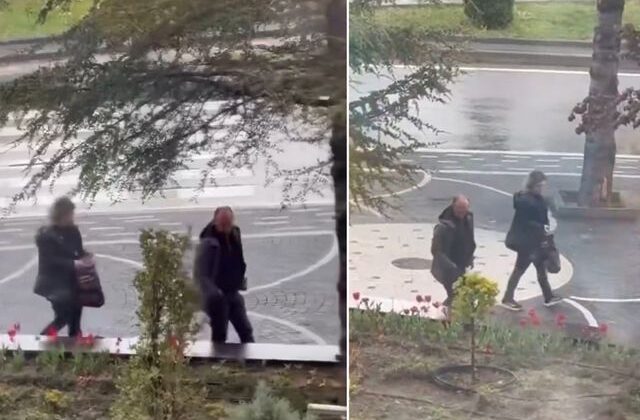 Yer: Kayseri! Belediyenin diktiği laleleri böyle söktüler