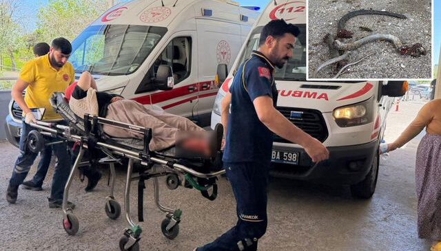 Gider deliğine sıkıştırdığı yılana ateş açtı, evin dışındakileri vurdu: 5 yaralı