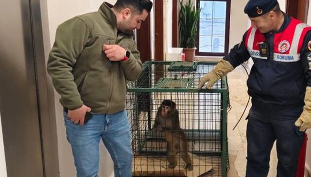 Yozgat’ta köy yolunda bulundu, gören şaştı kaldı