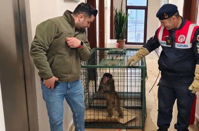 Yozgat’ta köy yolunda bulundu, gören şaştı kaldı
