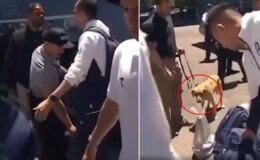 Dünya Kupası öncesi tarihi skandal! Milli Takımı narkotik köpekleriyle aradılar
