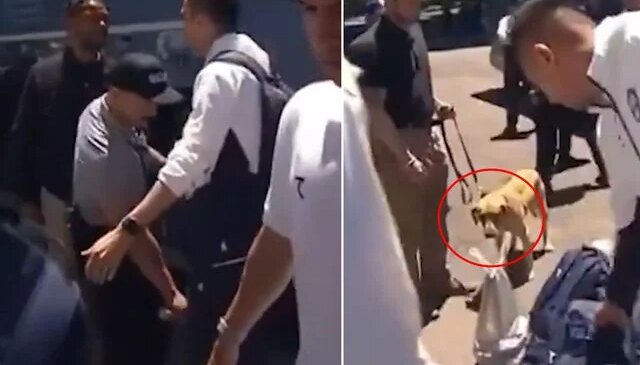 Dünya Kupası öncesi tarihi skandal! Milli Takımı narkotik köpekleriyle aradılar