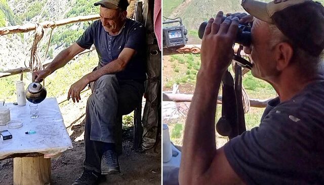 40 yıldır yaylada tek başına yaşıyor! Geceleri ayı ve kurt nöbeti tutuyor