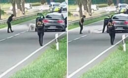 Almanya’daki 6 kişinin öldüğü silahlı saldırının faili Türk kökenli