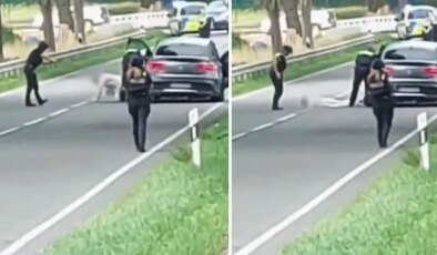 Almanya’daki 6 kişinin öldüğü silahlı saldırının faili Türk kökenli