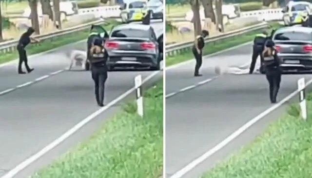 Almanya’daki 6 kişinin öldüğü silahlı saldırının faili Türk kökenli