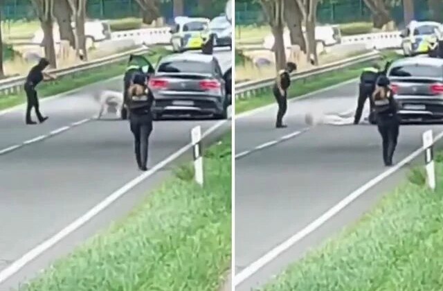 Almanya’daki 6 kişinin öldüğü silahlı saldırının faili Türk kökenli