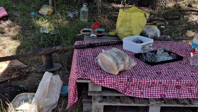 Piknikte tartıştığı eşini bıçaklayarak öldürdü