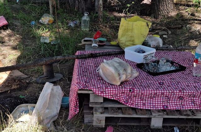 Piknikte tartıştığı eşini bıçaklayarak öldürdü