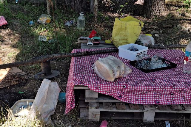 Ankara'da kadın cinayeti! Piknikte tartıştığı eşini bıçaklayarak öldürdü