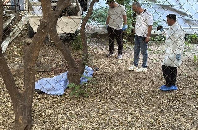 Bahçede kanlar içinde bulundu! Yanındaki detay kafaları karıştırdı