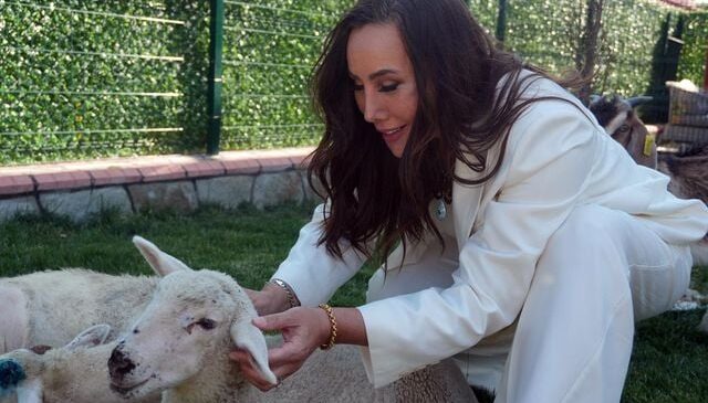 Asena, “ağabeyim” dediği insanla aşk yaşamaya başladı