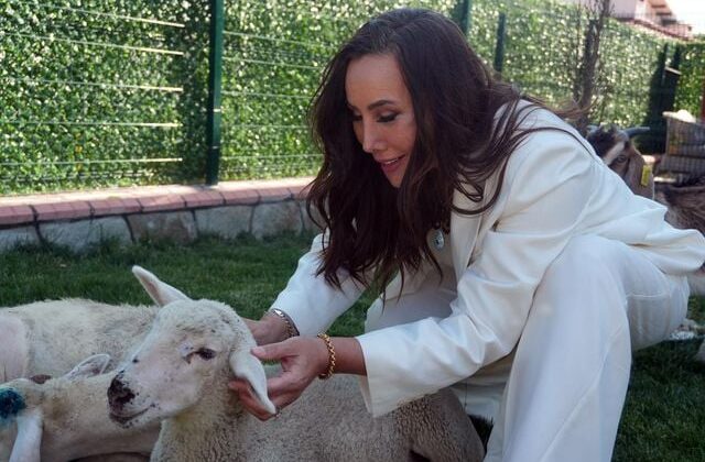 Asena, “ağabeyim” dediği insanla aşk yaşamaya başladı