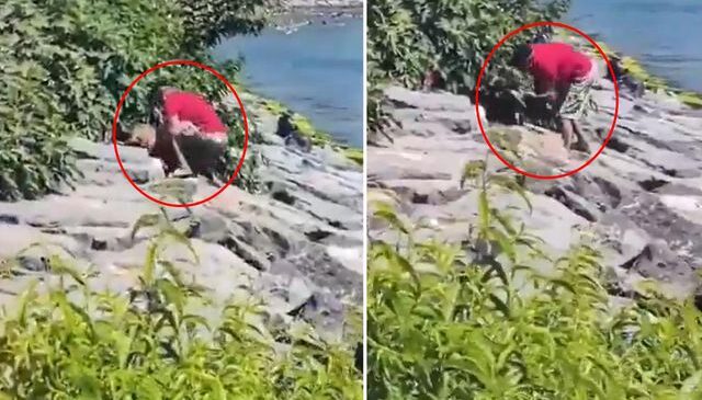Avcılar sahilinde köpeğe şiddet uygulayan şahıs gözaltına alındı