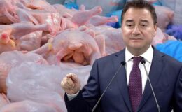 Babacan’dan tavuk şirketlerine kayyum atanmasına sert tepki: Polisiye tedbirlerle enflasyonu düşüremezsiniz