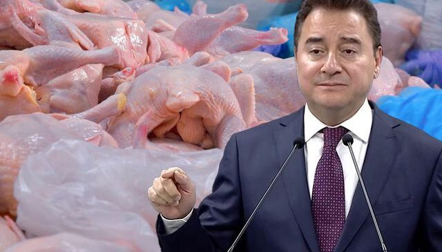 Babacan’dan tavuk şirketlerine kayyum atanmasına sert tepki: Polisiye tedbirlerle enflasyonu düşüremezsiniz