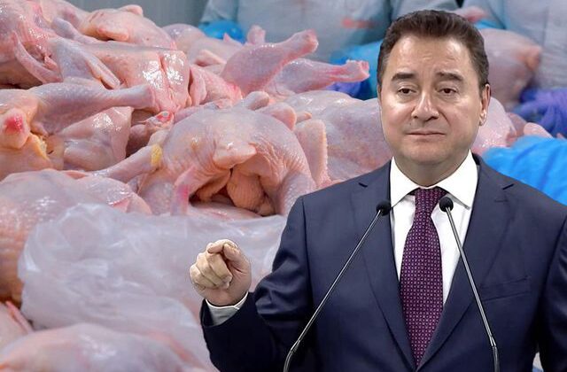 Babacan’dan tavuk şirketlerine kayyum atanmasına sert tepki: Polisiye tedbirlerle enflasyonu düşüremezsiniz